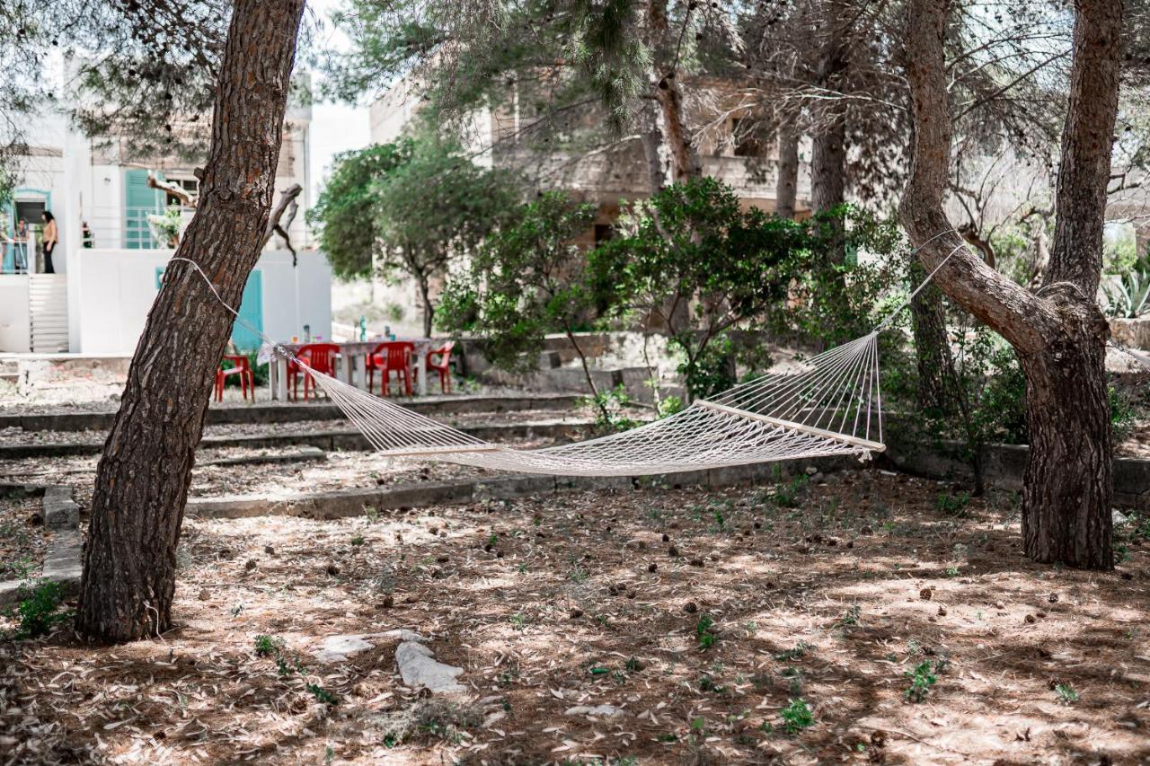 Villa Maria In Puglia Con Pineta Vicino Al Mare Торре-Суда Экстерьер фото