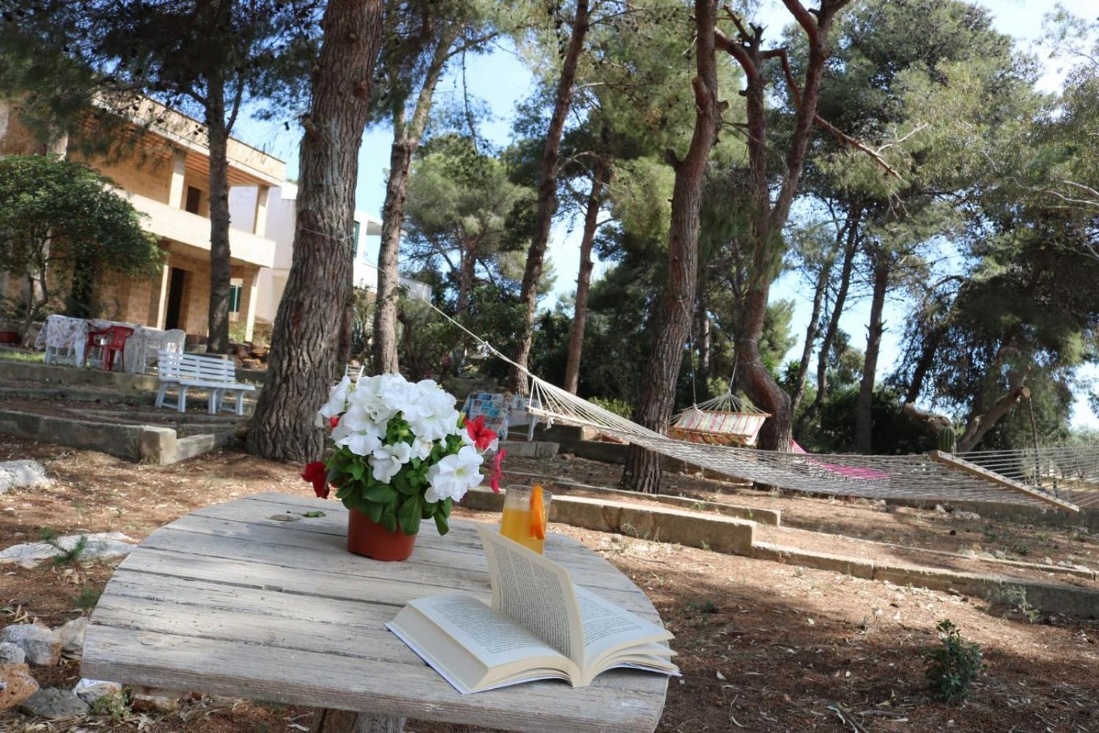 Villa Maria In Puglia Con Pineta Vicino Al Mare Торре-Суда Экстерьер фото